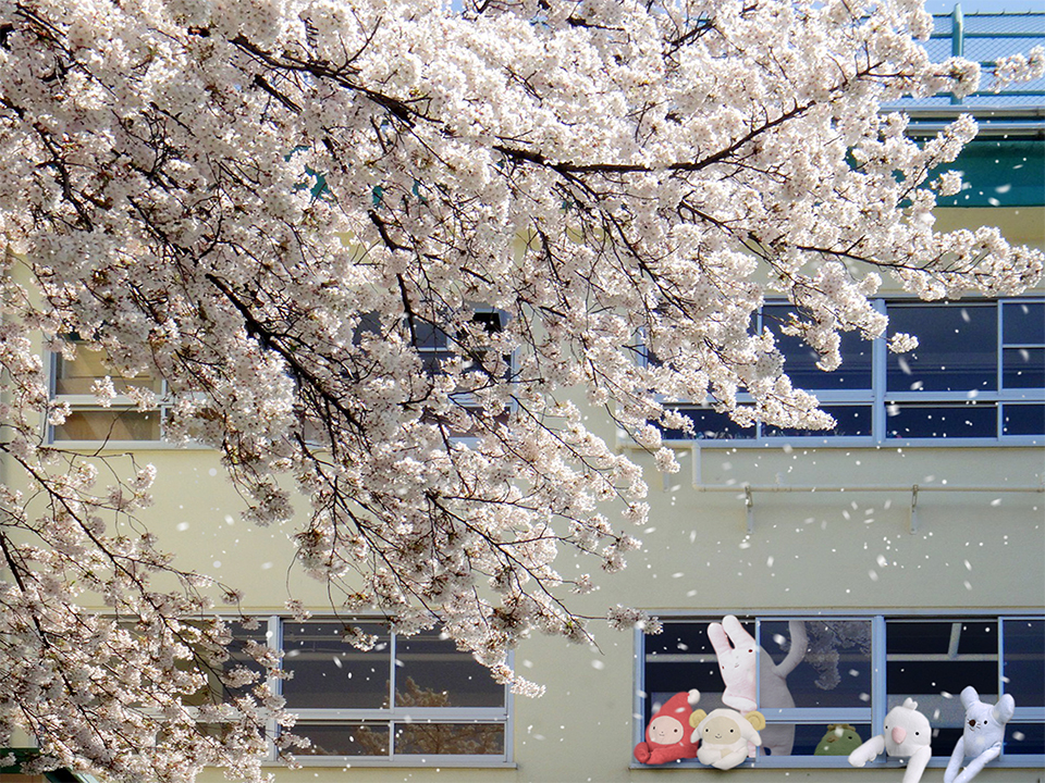 桜吹雪の学び舎