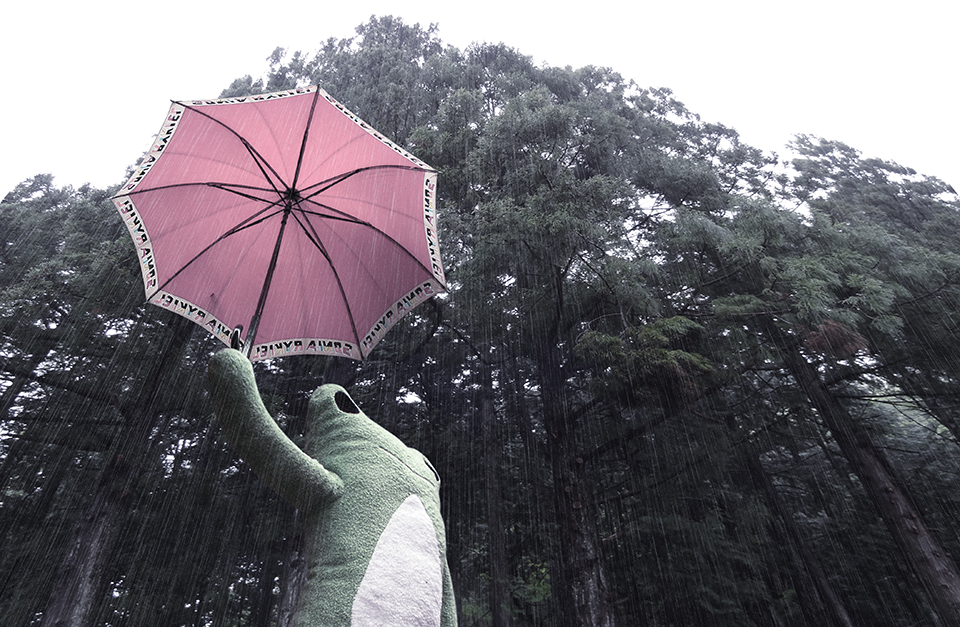 雨の森のけろーにょ